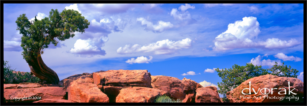 Red rocks, Blue sky, Lone tree